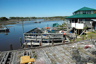 cedar key florida guide