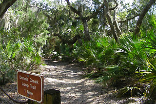 entrance to suwannee River wildlife refuge