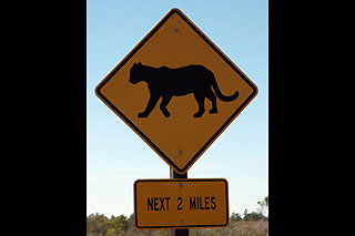 panther road sign