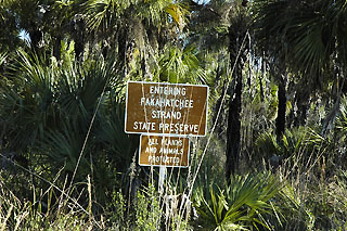 Fakahatchee Strand sign