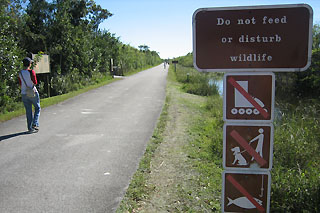 Shark Valley Everglades National Park paved walkway