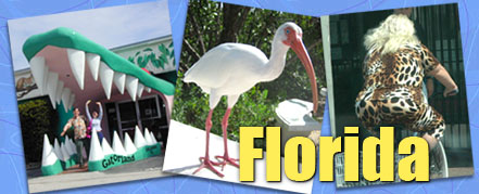 Florida travel guide header
