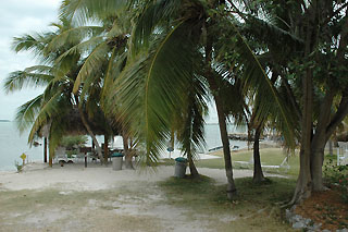 Bar Harbor Lodge, Key Largo