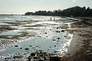 Key West beach...eh