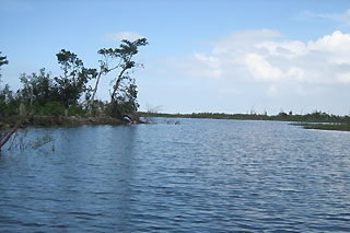 Lake Okechobee guide