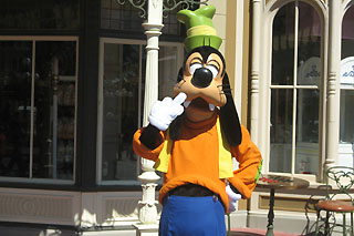 Disney World information