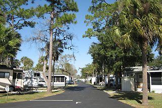 Space Coast RV Resort alt view