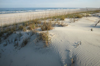 Anastasia State Park, Florida