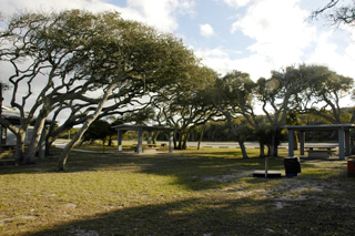 Anastasia State Park, Florida